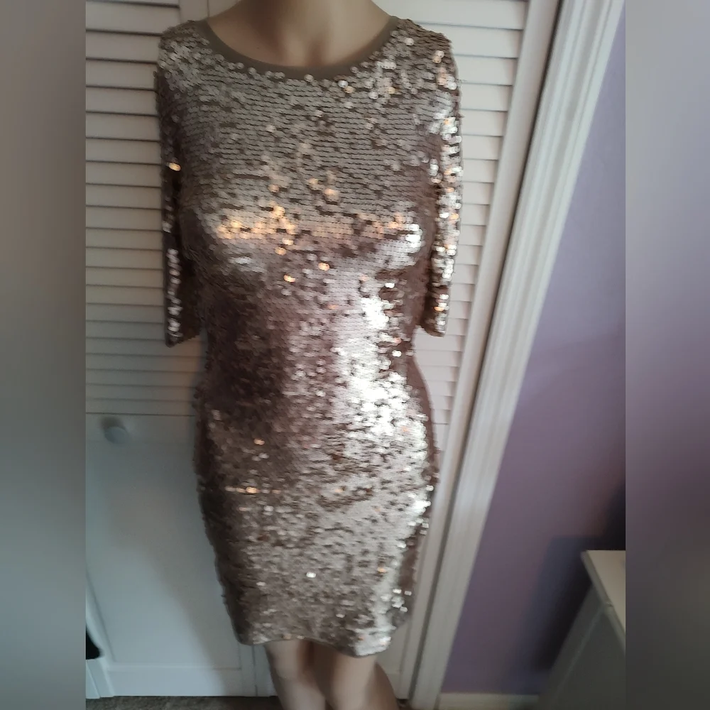 BCBG Maxazaria Fitted Mesh And Sequin Dress - Picture 6 of 9